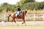 SBM_004562