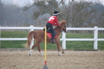 SBM_003374
