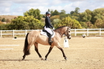 SBM_009895