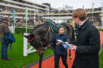 151125-Race 5-Gowel Road-3795