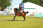 SBM_10778