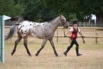 WJ6_8519
