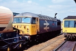19th April 1989