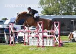 BPP_0293