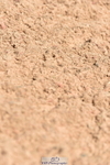 230811A-131634-05130