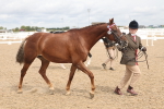 SBM_05044