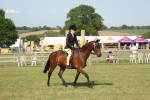 SBM_09704
