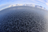 Arctic pancake ice, Svalbard, Norway