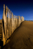 Fenced In