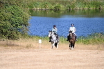 WJ6_7743