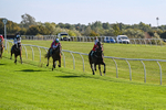 300926-Race 1-Bladey Lady-5802