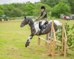 Dunblane show-312