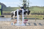 CLASS 17 SUN Stepping Stones 128/ 138cms Handicap portfolio