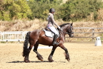 SBM_001477
