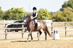 SBM_001426