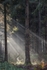 Light Beams
