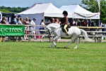 SBM_06066