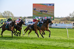 080426-Race 7-Sir Garfield-1202