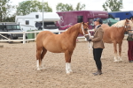 SBM_03257