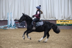 SBM_000501