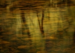 River Cannich
