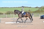 BPP_8519