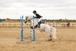 SBM_005304