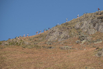 Elterwater-636