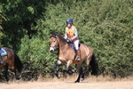 WJ6_8778