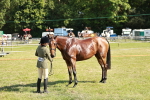 SBM_18908