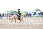 SBM_11191
