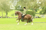 SBM_72097