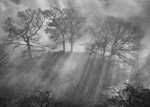 Mystical Morning:120E
