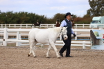 SBM_14505