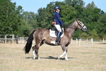 WJ7_9023