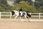 SBM_01588