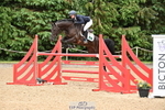 Cls 50 Snr Foxhunter portfolio