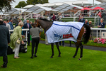 210824-Race 5-Extensio-5762