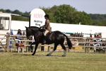 SBM_17887