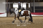 BPP_1743