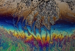 Bubble World