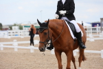 SBM_05729