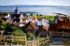 Culross, Fife from above