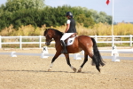 SBM_008303