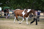 WJ6_8142