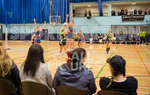 Netball_Panthers v Swans-31
