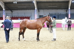 SBM_01191