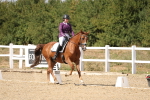 SBM_014752