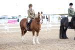 SBM_00385