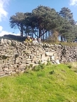 056  After lunch on our descent to the River Nidd